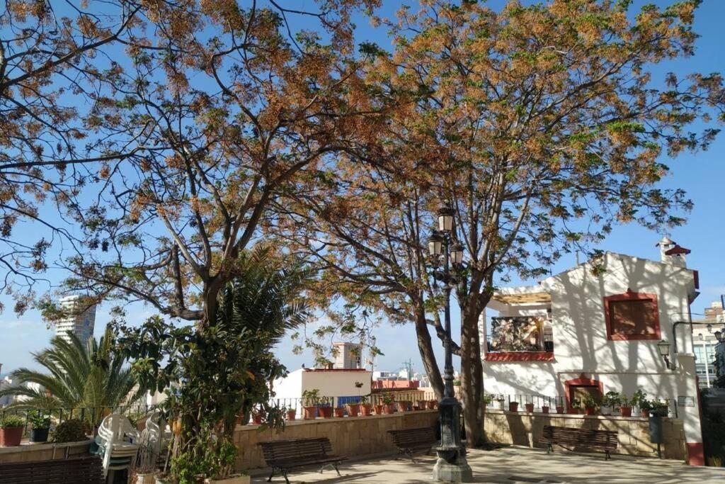 San Antonio Villa لقنت المظهر الخارجي الصورة